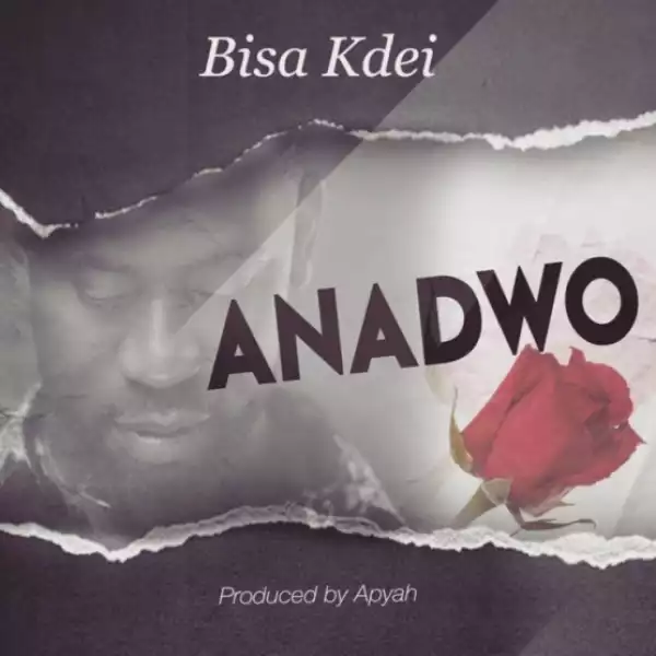 Bisa Kdei - Anadwo (Prod. by Apya)